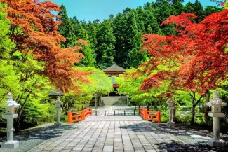 Wakayama Travel Guide: 18 Best Things to Do & Itinerary