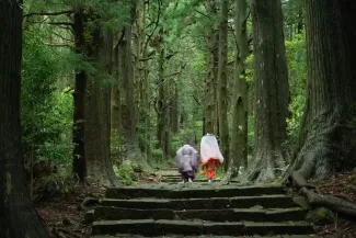 Wakayama Travel Guide: 18 Best Things to Do & Itinerary