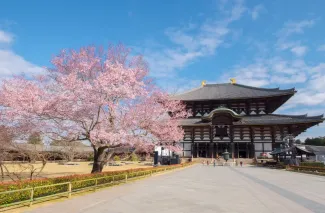 What to See & Do in Nara 2026 - Top 5 Nara Attractions