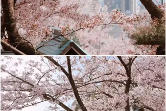 2026 Kobe Attractions Guide: Attractions, Transportation & Day Trips