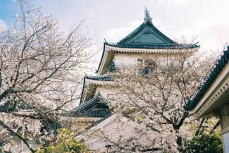 Wakayama Transportation Guide: Get There & Around