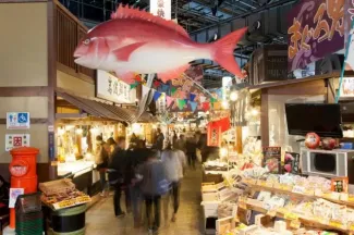 Wakayama Day Trip from Osaka: Top Spots, Transport & Food Guide
