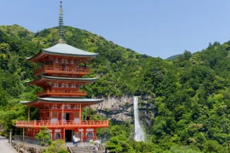 Wakayama Transportation Guide: Get There & Around