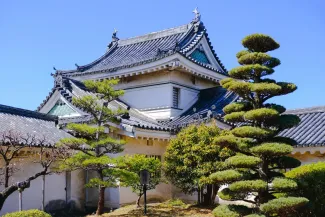 和歌山 グルメ26