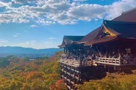 京都 グルメ27