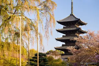 京都 観光2