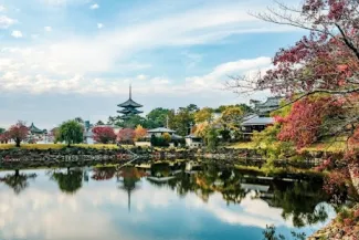 東京から奈良2