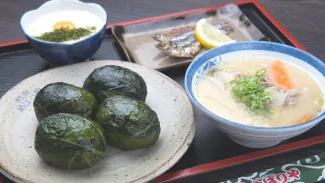 Wakayama Day Trip from Osaka: Top Spots, Transport & Food Guide