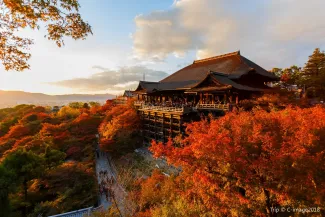 京都 観光4