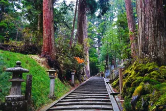 和歌山 観光5
