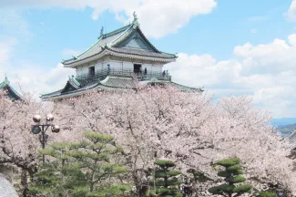 Wakayama Day Trip from Osaka: Top Spots, Transport & Food Guide
