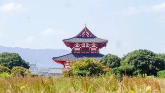 奈良　観光8