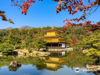 京都 観光9
