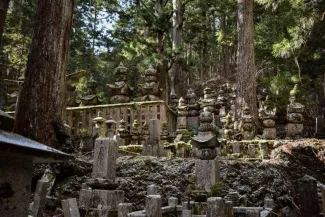 Wakayama Day Trip from Osaka: Top Spots, Transport & Food Guide