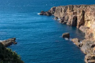 Wakayama Day Trip from Osaka: Top Spots, Transport & Food Guide