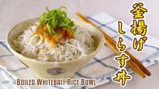 Wakayama Day Trip from Osaka: Top Spots, Transport & Food Guide