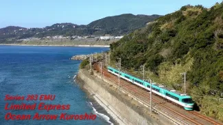 Wakayama Day Trip from Osaka: Top Spots, Transport & Food Guide
