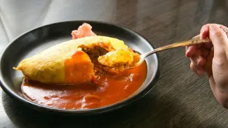 Hokkyokusei