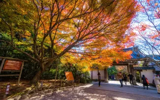 龙安寺