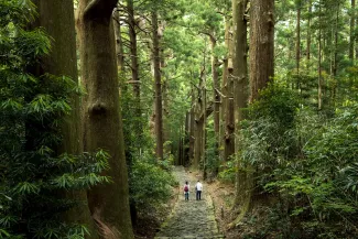Wakayama Day Trip from Osaka: Top Spots, Transport & Food Guide