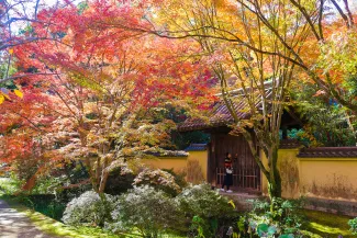 唐招提寺