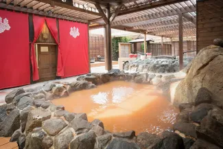 有馬温泉·太閣之湯