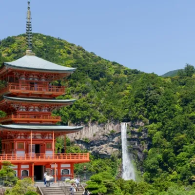 Wakayama Day Trip from Osaka: Top Spots, Transport & Food Guide
