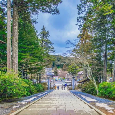 Wakayama Food: 2026 Top 10 Must-try in Wakayama