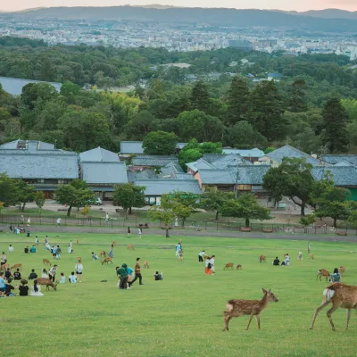 Nara Day Tour: Itineraries, Osaka/Kyoto Transport & Attractions