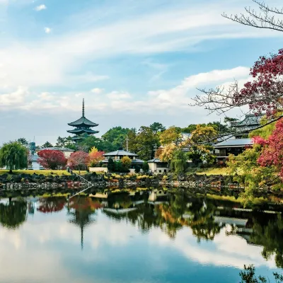 Get to Nara from Kansai Airport Guide: HARUKA, Bus & Car Rental