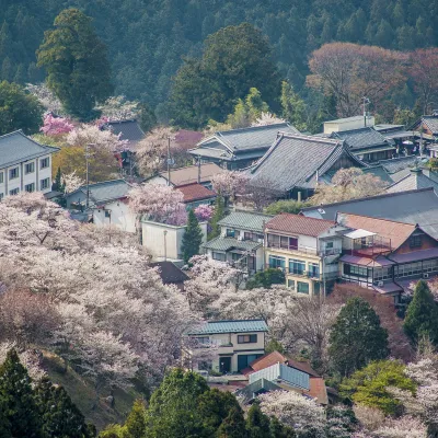 What to See & Do in Nara 2026 - Top 5 Nara Attractions
