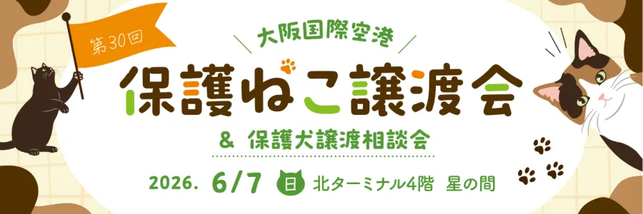 保護猫譲渡会6月