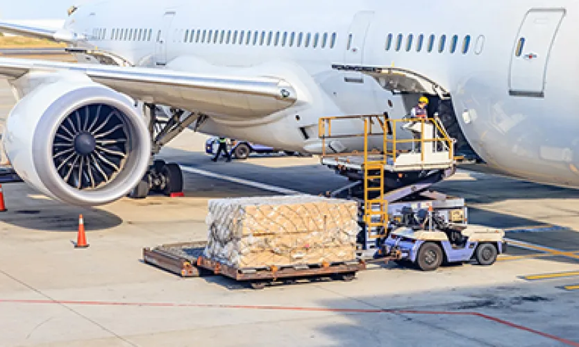 新規就航をお考えのみなさま