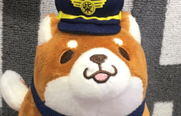TTD 17230【⭐︎ 忠犬ハチ KOH様⭐︎】【美品・数量限定】 Amazon.co.jp: 秋田犬 忠犬ハチ公 犬 イヌ いぬ ぬいぐるみ 国立
