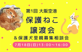 Itami 第1回 伊丹空港 保護ねこ譲渡会 保護犬里親募集相談会 Kix Itami Kobe イベントニュース
