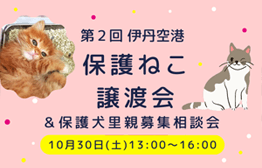 Itami 第2回 伊丹空港 保護ねこ譲渡会 保護犬里親募集相談会 Kix Itami Kobe イベントニュース
