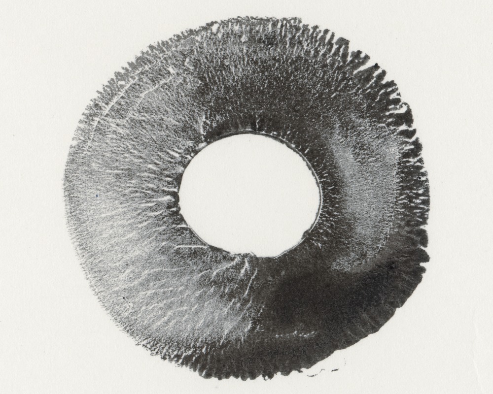 本橋 孝祐 / KOSUKE MOTOHASHI