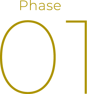Phase 01