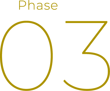 Phase 03
